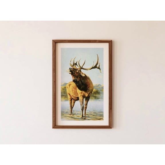 Old Buck Deer Hunting Wall Art, Unframed Paper Print Size 8x12
