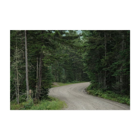 Old Cherry Mountain Road 01 - Jefferson New Hampshire Photography Forest Nature Scenic Landscape Rural Botanical Rustic Unframed Wall Art Print 4 x 6 inches