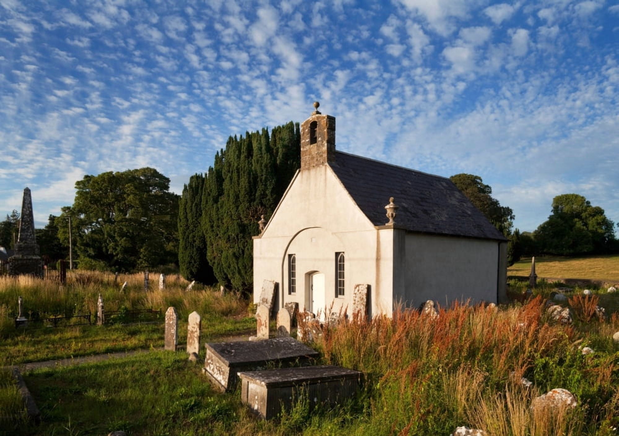 Old Church of Ireland church Fiddown County Kilkenny Ireland Canvas Art - Panoramic Images (24 x 36)
