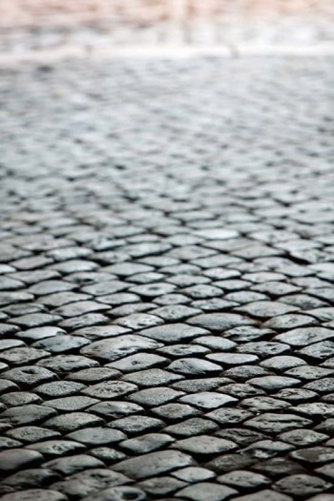 Old City Cobblestones Bescancon Canvas Art - Walter Bibikow DanitaDelimont (24 x 36)