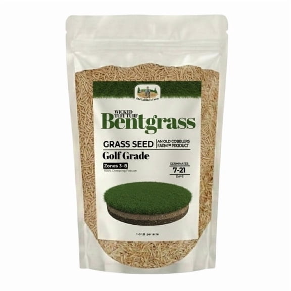 Old Cobblers Farm Wicked Tuff Turf Bentgrass (Grasses) (5 lbs | 10 lbs | 15 lbs | 20 lbs) (10lbs)