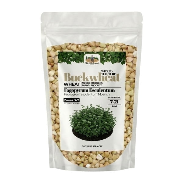 Old Cobblers Farm™ Wicked Tuff Turf Buckwheat (Other Forages) (5 lbs | 10 lbs | 15 lbs | 20 lbs) (10lbs)