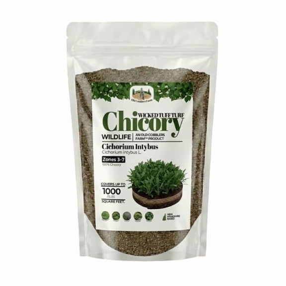 Old Cobblers Farmâ„¢ Wicked Tuff Turf Chicory (Other Forages), 10 lbs