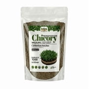 Old Cobblers Farm Wicked Tuff Turf Chicory Other Forages, 5 lbs