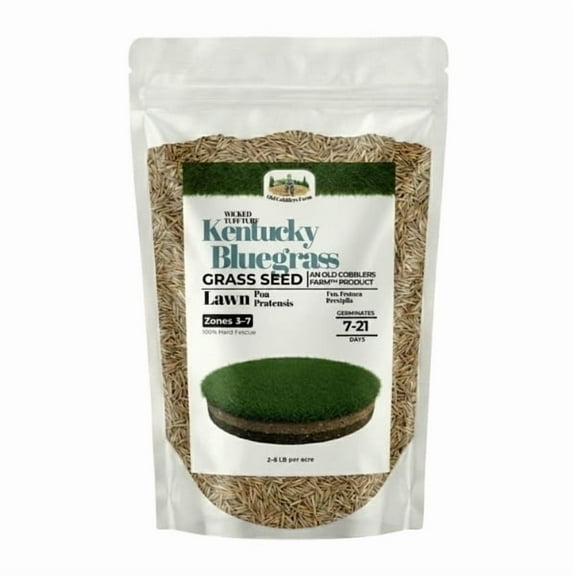 Old Cobblers Farm™ Wicked Tuff Turf Kentucky Bluegrass (98% Pure Seed/85% Germination/WA) - Premium Cool-Season Lawn Seed for Thick, Lush, Long-Lasting Turf (5lbs|10lbs|15lbs|20lbs)(10lbs)