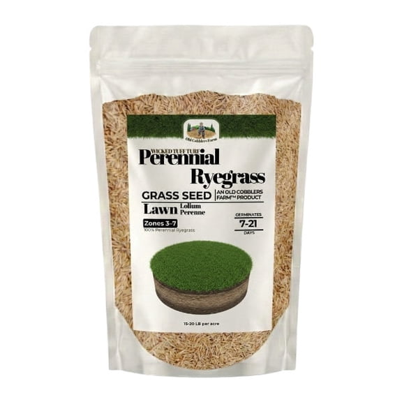 Old Cobblers Farm Wicked Tuff Turf Perennial Ryegrass (Grasses) (5 lbs | 10 lbs | 15 lbs | 20 lbs) (10lbs)