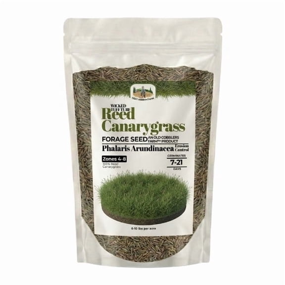 Old Cobblers Farm Wicked Tuff Turf Reed Canarygrass (Grasses), 5lbs
