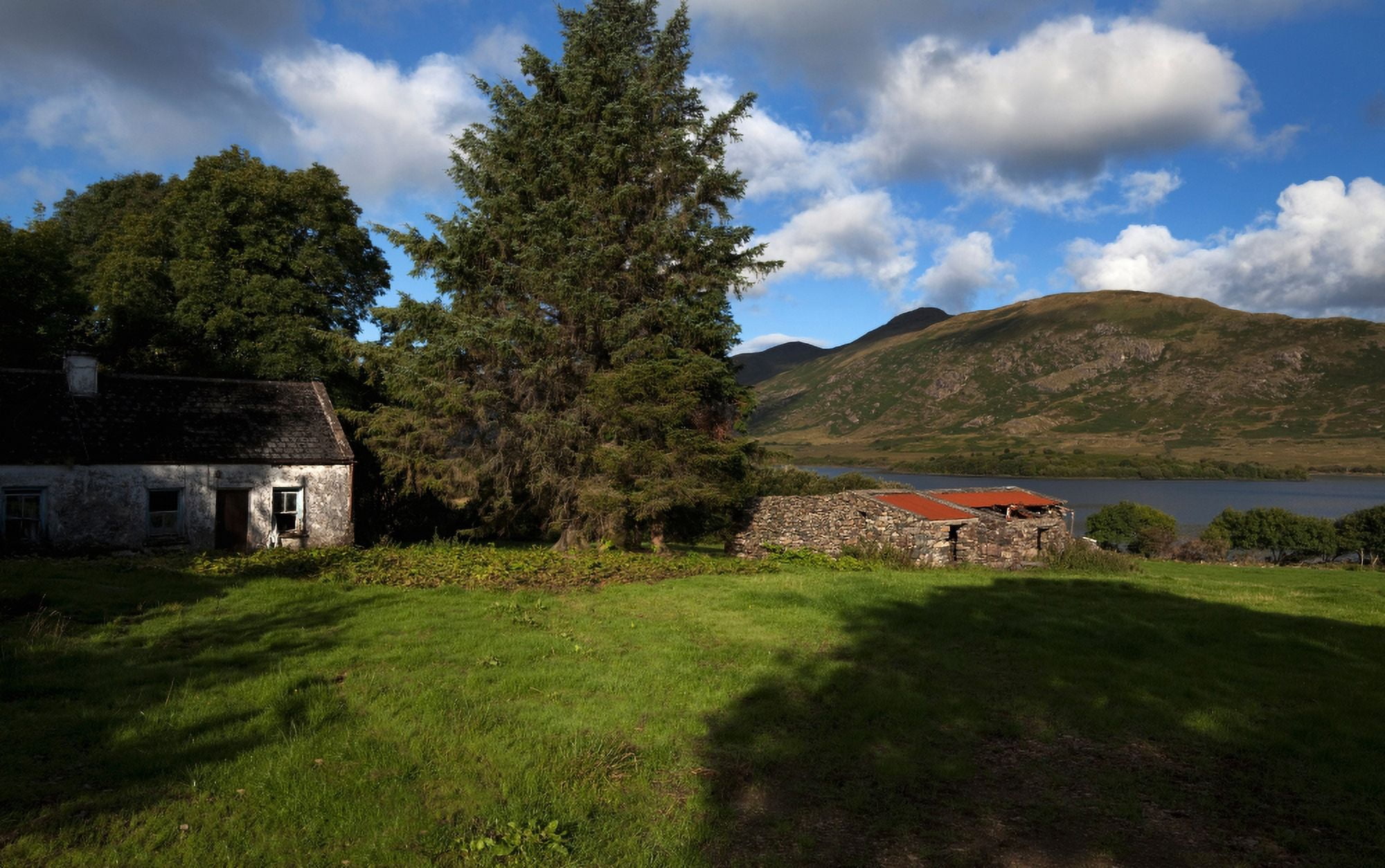 Old Desarted farm near Drishaghaun on the banks of Lough Mask Joyces County Connemara County Galway Ireland Canvas Art - Panoramic Images (11 x 17)
