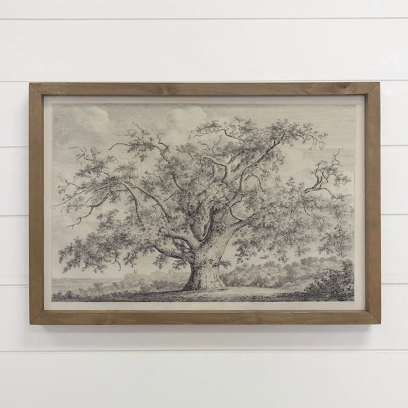 Old Elm Tree - Tree Sketch Art - Size 24x36 Unframed Poster