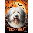 thumbnail image 1 of Old English Sheepdog - Best of Breed  Halloween Garden Flag 12" x 17", 1 of 1