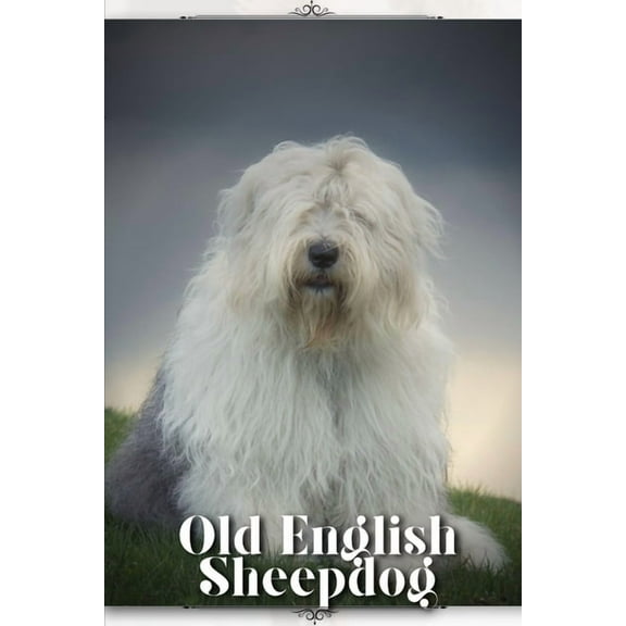 Old English Sheepdog, (Paperback)