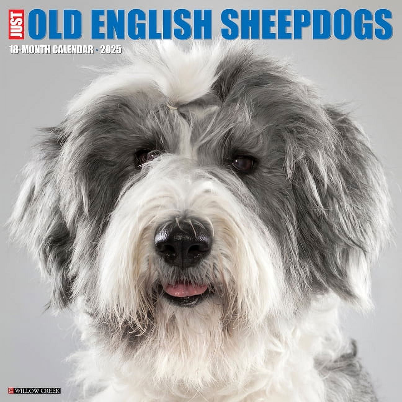 Old English Sheepdogs 2025 Wall Calendar