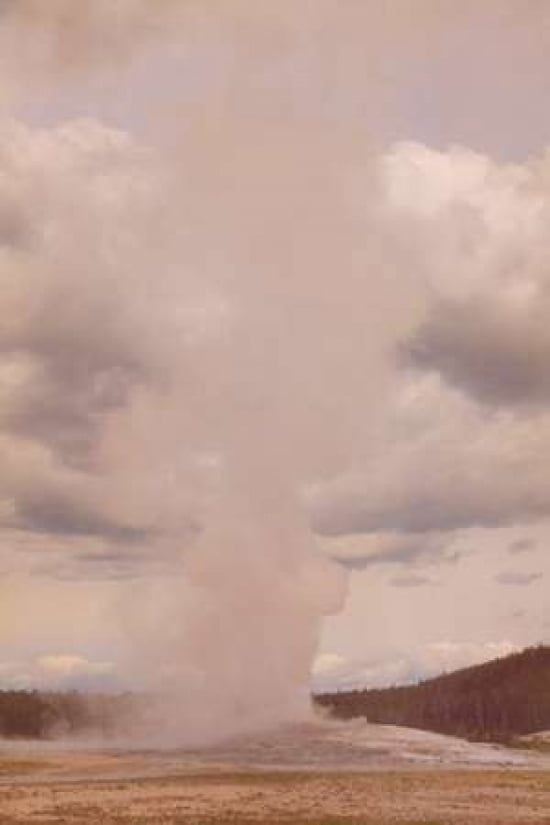 Old Faithful Canvas Art - Roberta Murray (24 x 36)