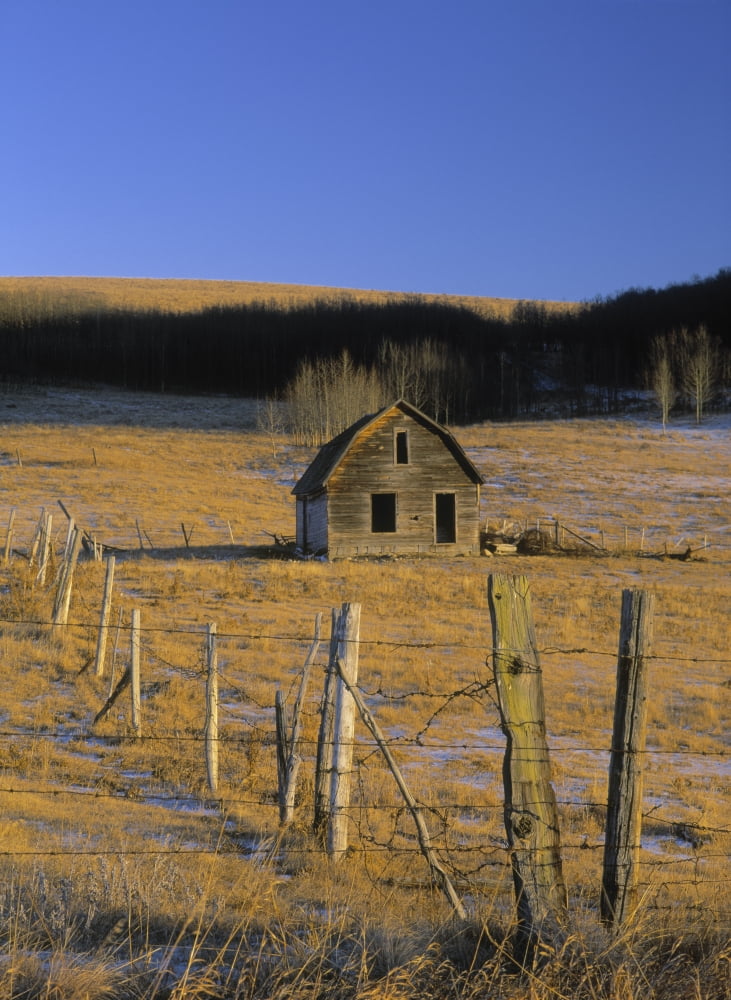 Old Farm Near Cochrane Alberta Canvas Art - Darwin Wiggett Design Pics (11 x 16)