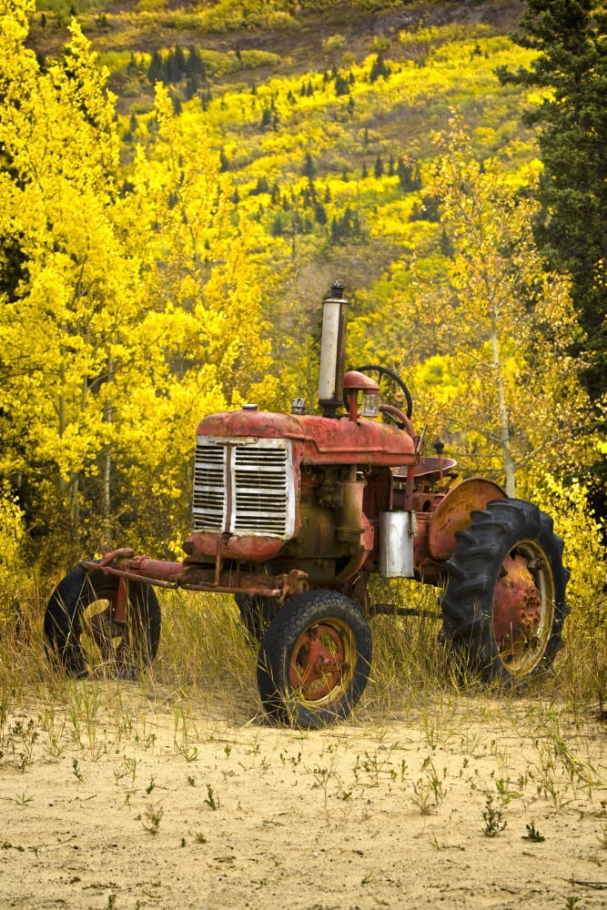 Old Farm Tractor Canvas Art - Richard Wear Design Pics (11 x 17)