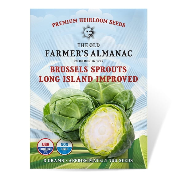 The Old Farmer's Almanac Long Island Improved Brussels Sprouts Seeds (Premium Heirloom, Non-GMO, Open Pollinated, Vegetable, Full Sun) - Approx 750 Seeds