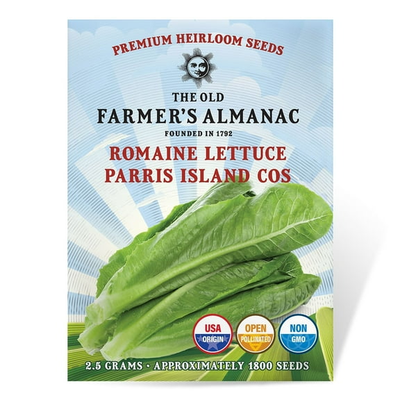 The Old Farmer's Almanac Heirloom Paris Island Cos Romaine Lettuce Seeds - Premium Non-GMO, Open Pollinated, USA Origin, Vegetable Seeds - 2.5 Grams