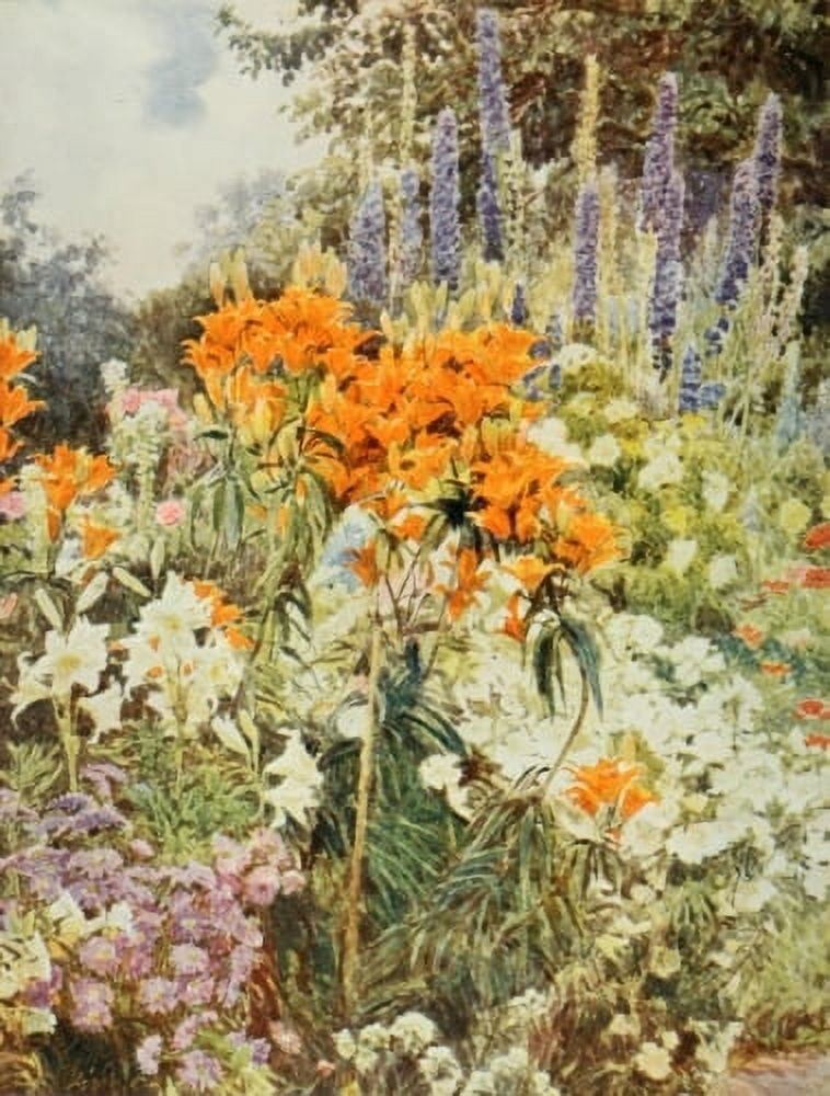 Old Fashioned Flowers 1906 Orange Lilies Canvas Art - George S Elgood (24 x 36)