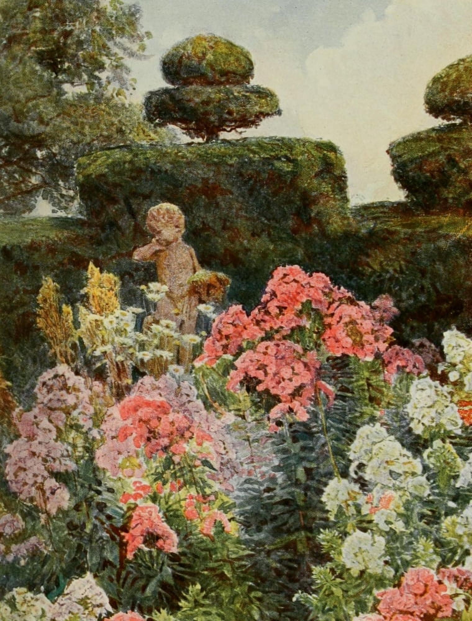 Old Fashioned Flowers 1906 Phlox Canvas Art - George S Elgood (18 x 24)