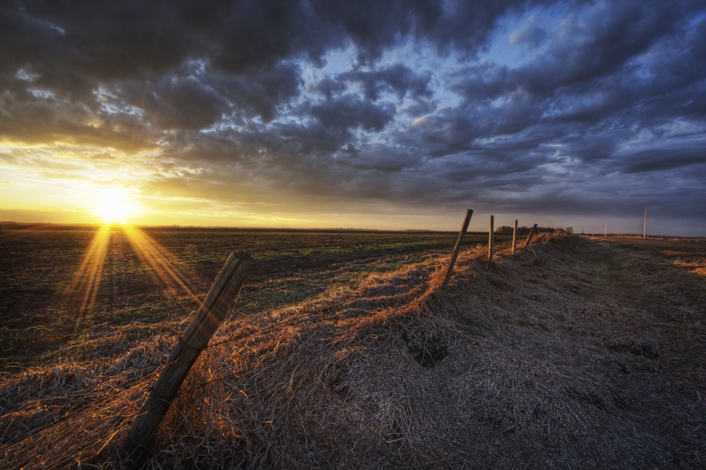Old Fence In Field Namao Alberta Canvas Art - Dan Jurak Design Pics (34 x 22)