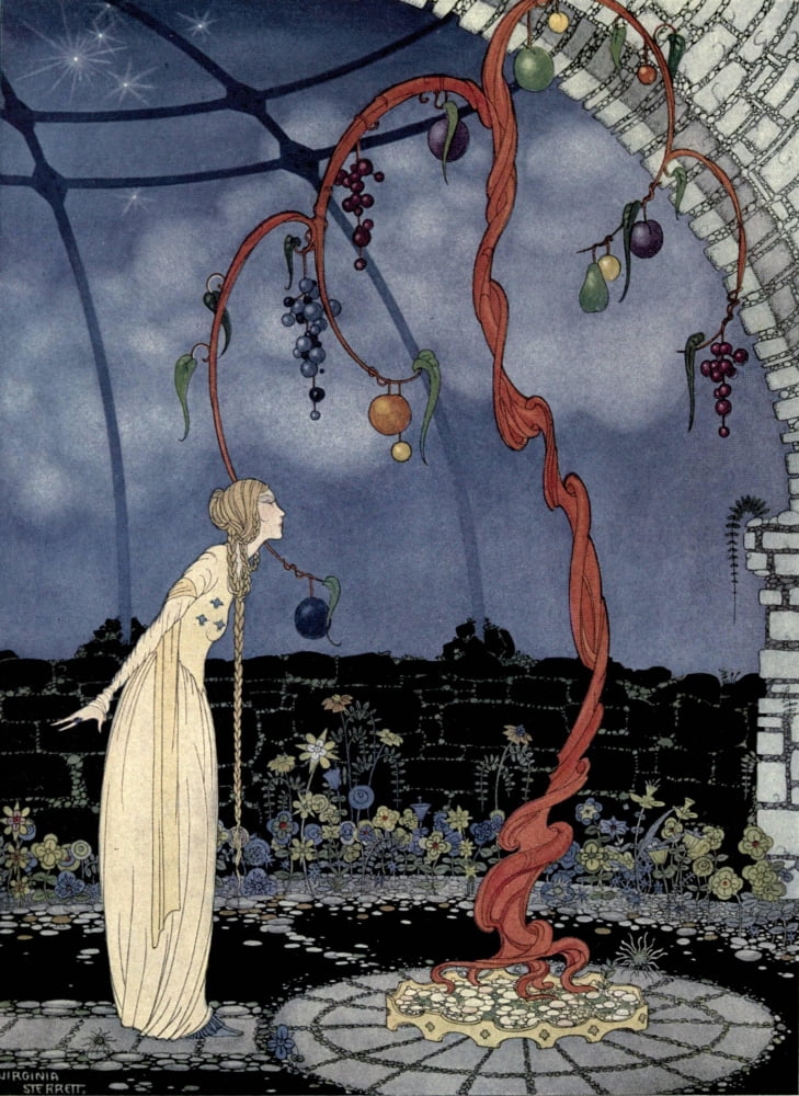 Old French Fairy Tales 1920 Tree of marvellous beauty Canvas Art - Virginia Sterrett (24 x 36)