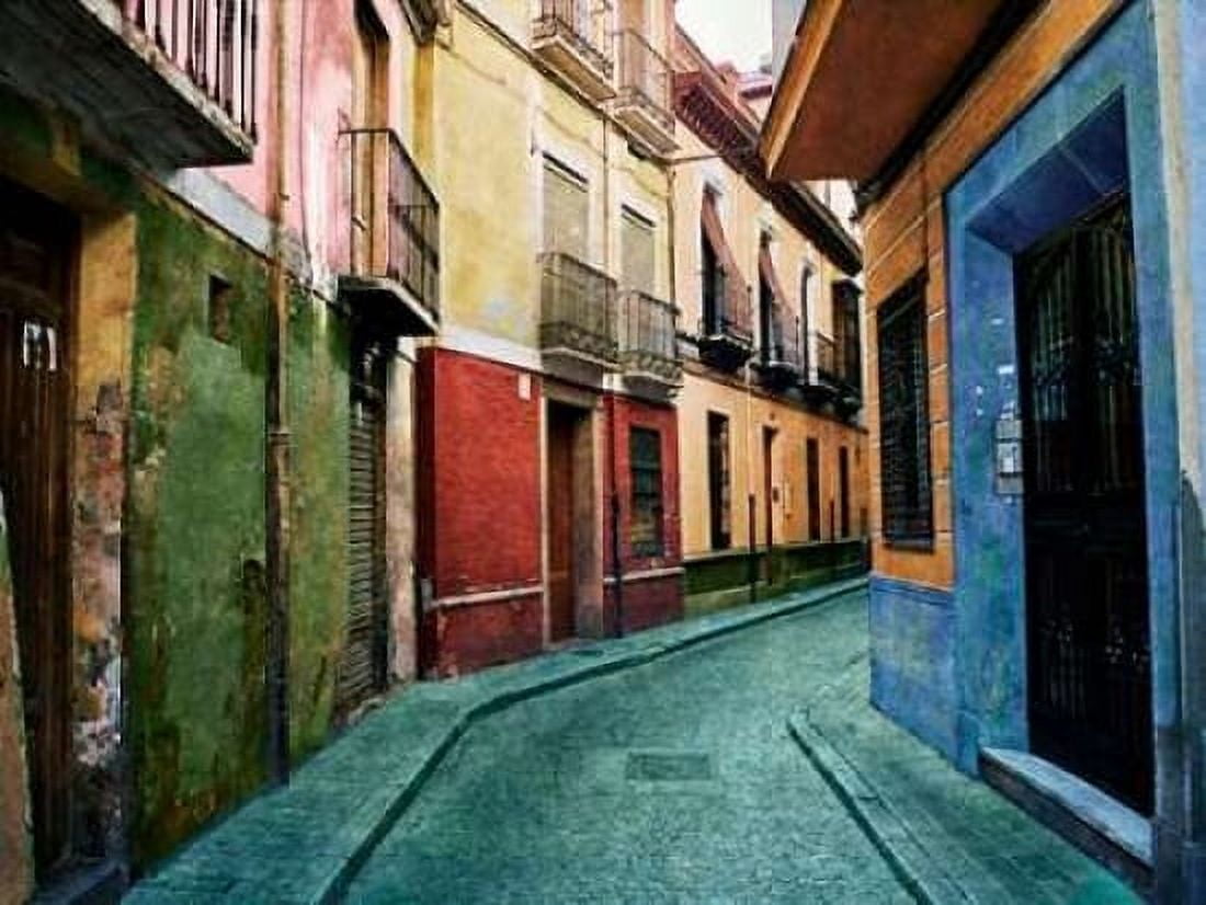 Old Granada Canvas Art - Ynon Mabat (18 x 24)