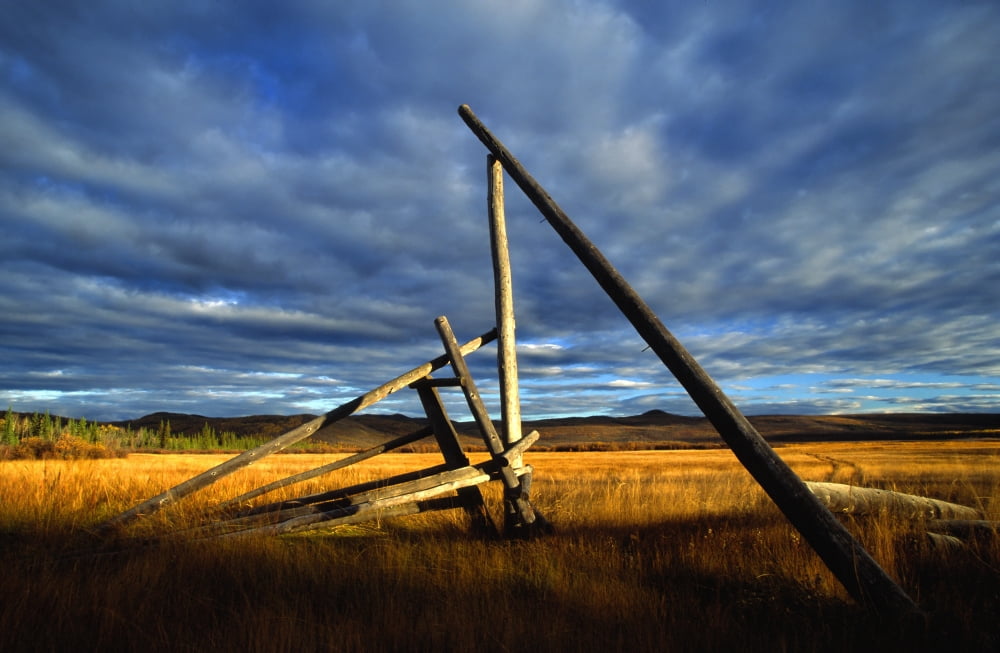 Old Homestead Near Pelly Crossing Yukon Canvas Art - Robert Postma Design Pics (36 x 24)