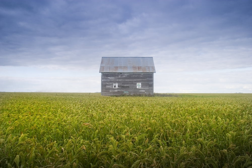 Old House Manitoba Canada Canvas Art - Mirek Weichsel Design Pics (17 x 11)