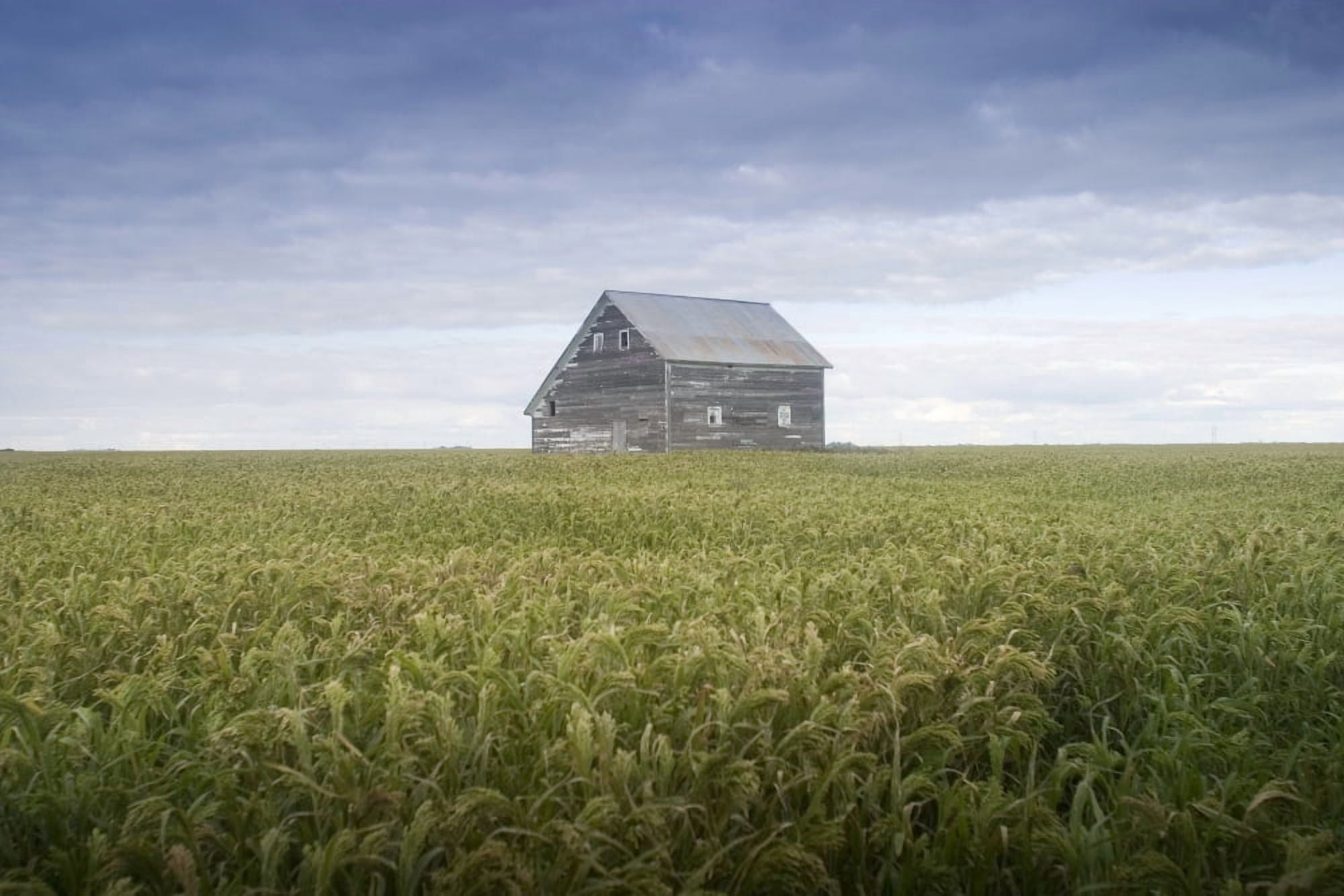 Old House Manitoba Canada Canvas Art - Mirek Weichsel Design Pics (34 x 22)