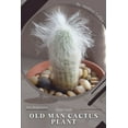 thumbnail image 1 of Old Man Cactus Plant: Plant Guide (Paperback) by Andrey Lalko, 1 of 1