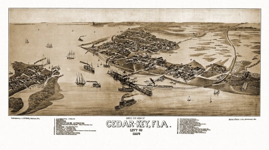 Old Map of Cedar-Key Florida 1884 Levy County Canvas Art - (18 x 24)