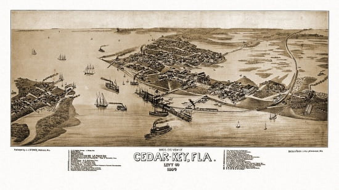 Old Map of Cedar-Key Florida 1884 Levy County Canvas Art - (36 x 54)
