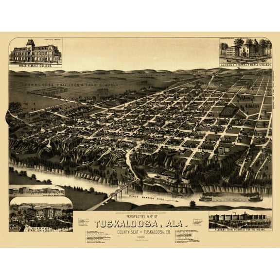 Old Map of Tuskaloosa Alabama 1887 Tuskaloosa County Canvas Art - (24 x 36)