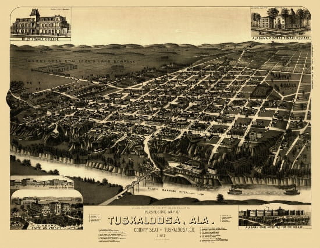Old Map of Tuskaloosa Alabama 1887 Tuskaloosa County Canvas Art - (36 x 54)