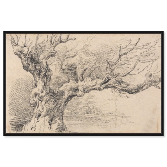 Old Oak Tree Canvas Vintage Illustration by Art Remedy, Black Frame, 36" x 24"