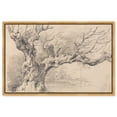thumbnail image 1 of Old Oak Tree Canvas Vintage Illustration by Art Remedy, Gold Frame, 45" x 30", 1 of 7