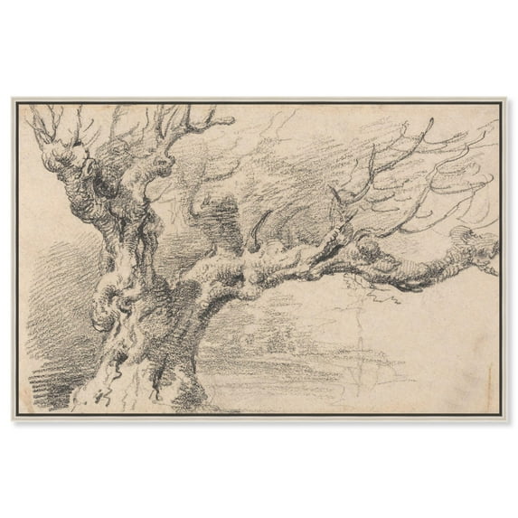 Old Oak Tree Canvas Vintage Illustration by Art Remedy, Silver Frame, 36" x 24"