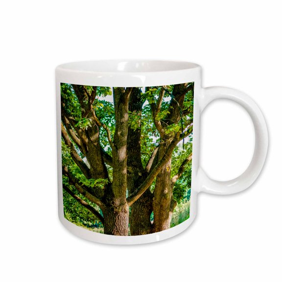 3drose, Old Oak Trees in Summer, 15oz Mug