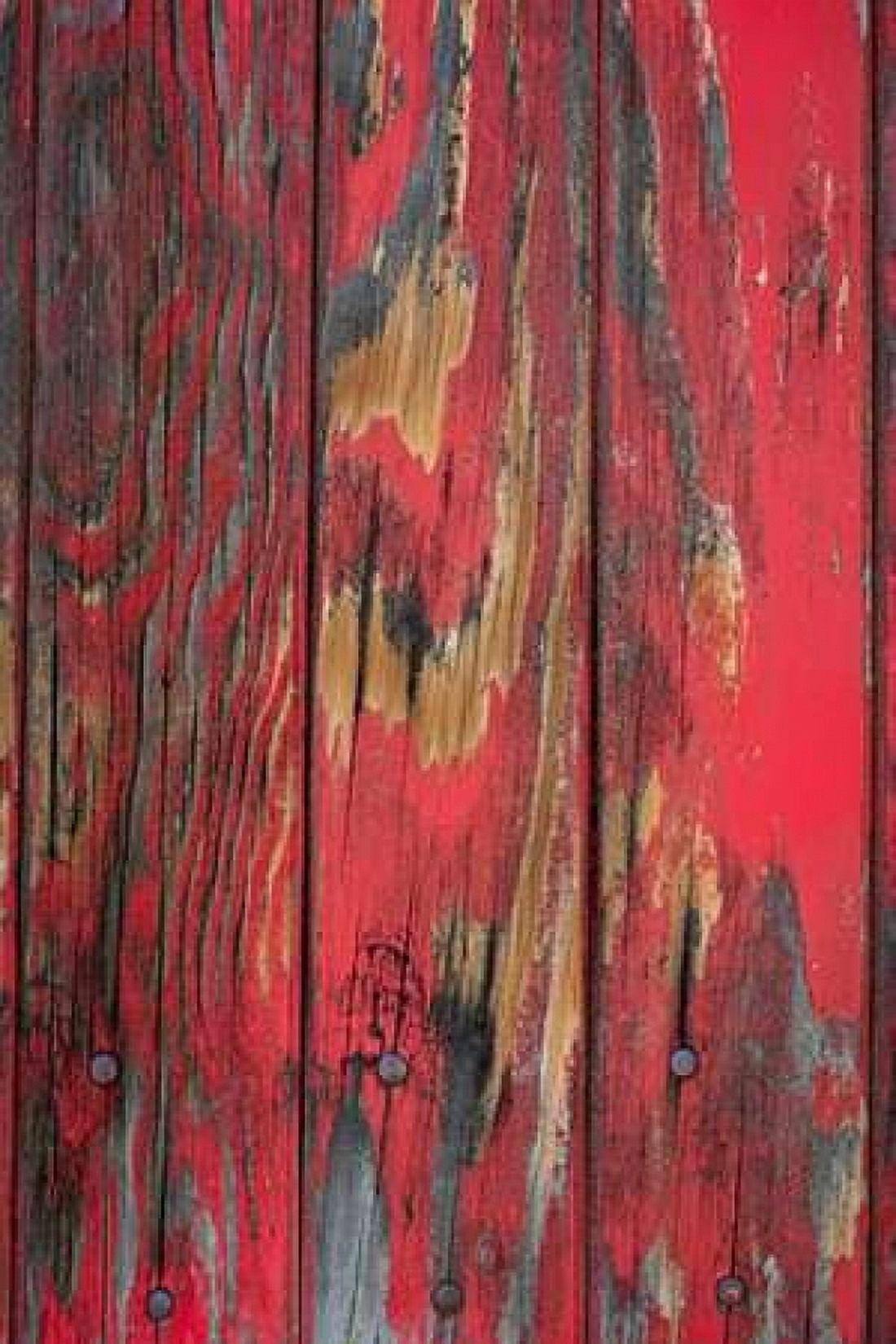 Old Paint I Canvas Art - Kathy Mahan (24 x 36)