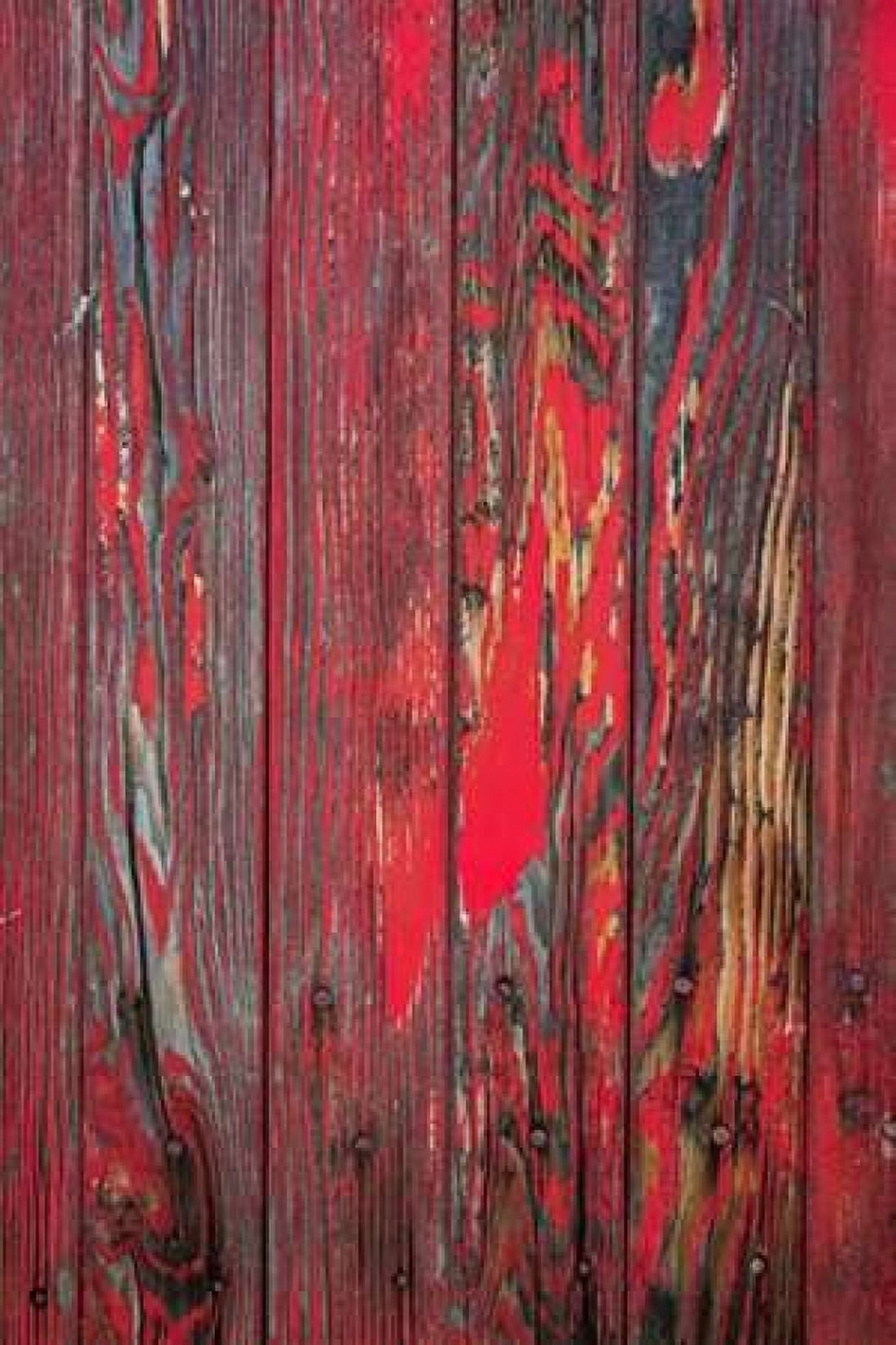 Old Paint II Canvas Art - Kathy Mahan (24 x 36)