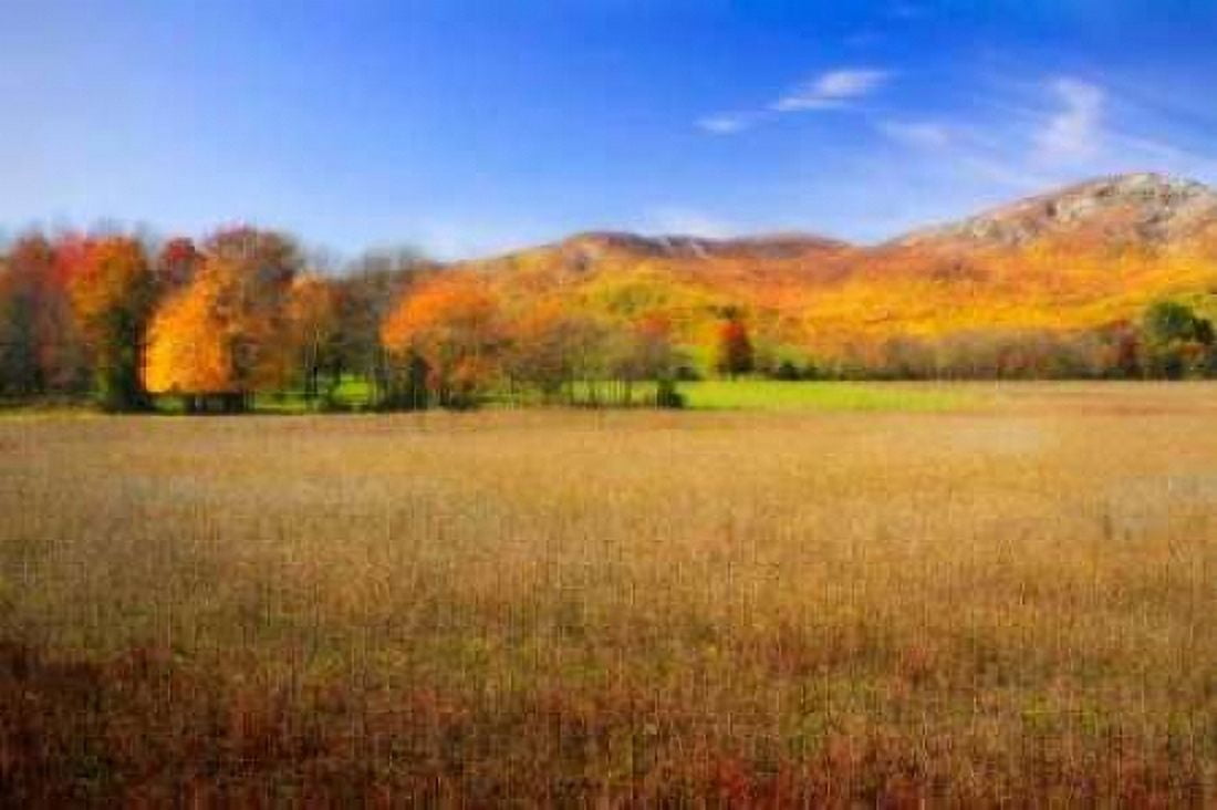 Old Rag Mountain I Canvas Art - Alan Hausenflock (20 x 28)