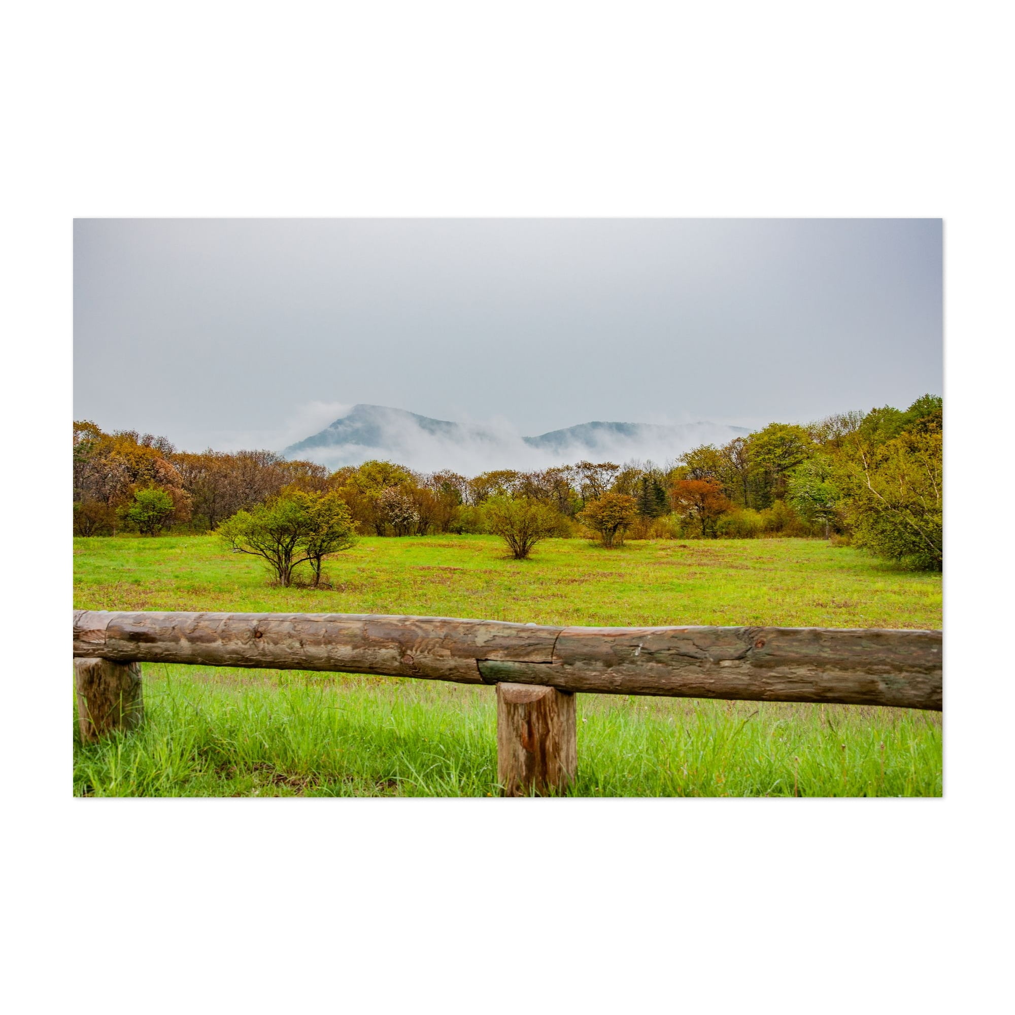 Old Rag Mountain from Skyline Drive on a Foggy Day - Virginia ...