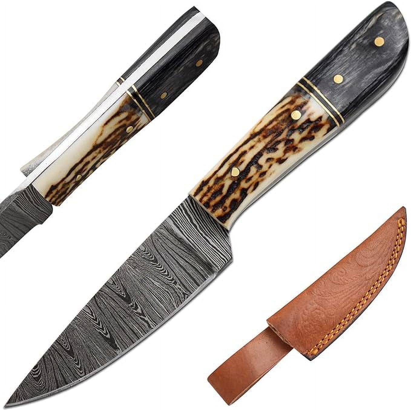 Old Ram 8" Stag And Wood Damascus Skinner Outdoor Hunting Knife