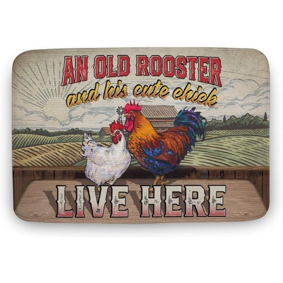 an Old Rooster and His Cute Chick Live Here House Doormat \u2013 Outdoor Indoor Doormat Funny Doormat Indoor Outdoor Decorative Entryway Floor Mats Welcome Mat 18x30 inch