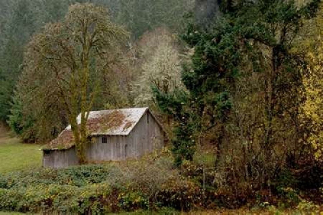 Old Shed Canvas Art - Ramona Murdock (12 x 18)