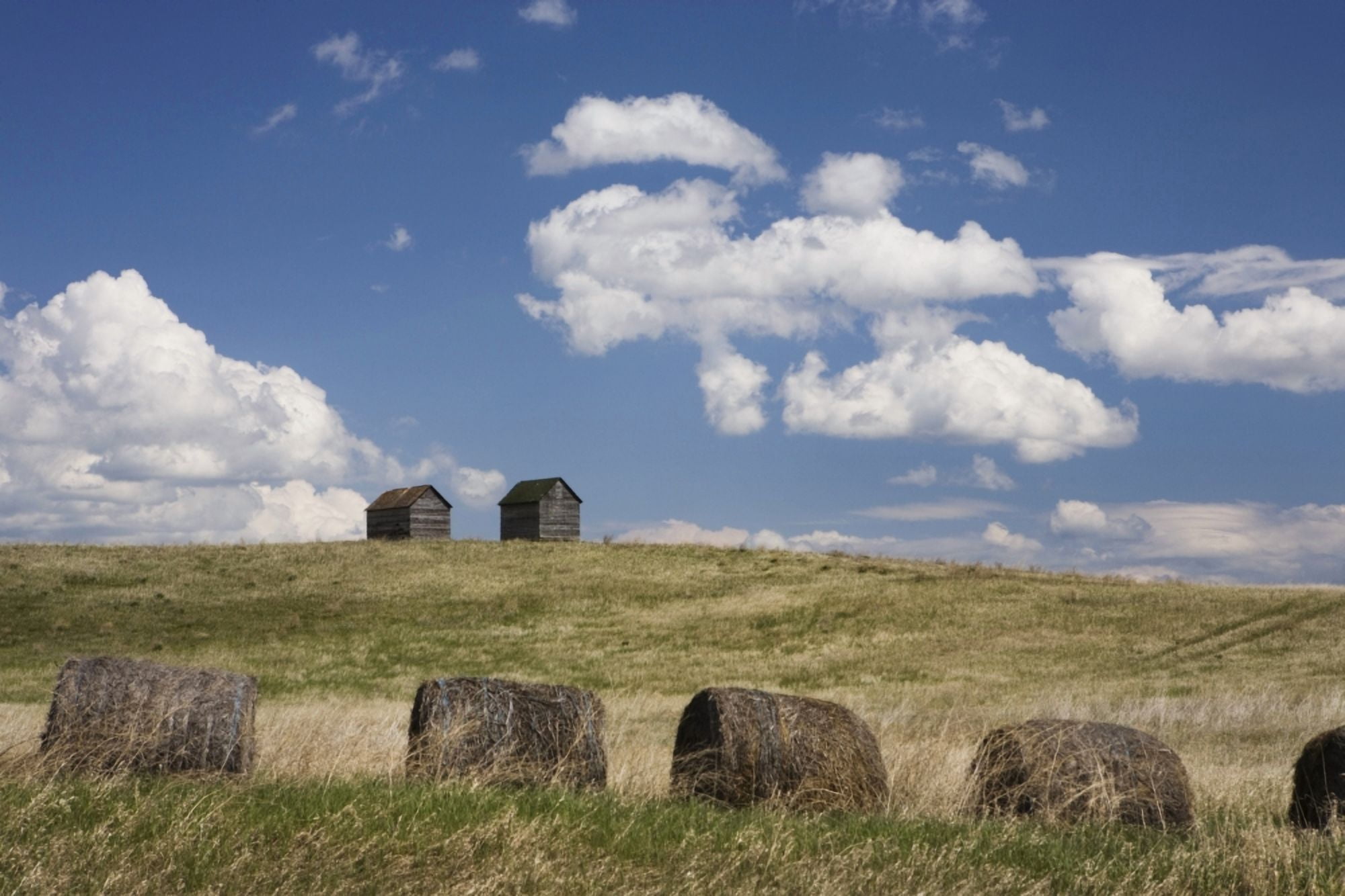 Old Sheds In A Field With Hay Bales Winnipeg Manitoba Canada Canvas Art - Susan Dykstra Design Pics (19 x 12)