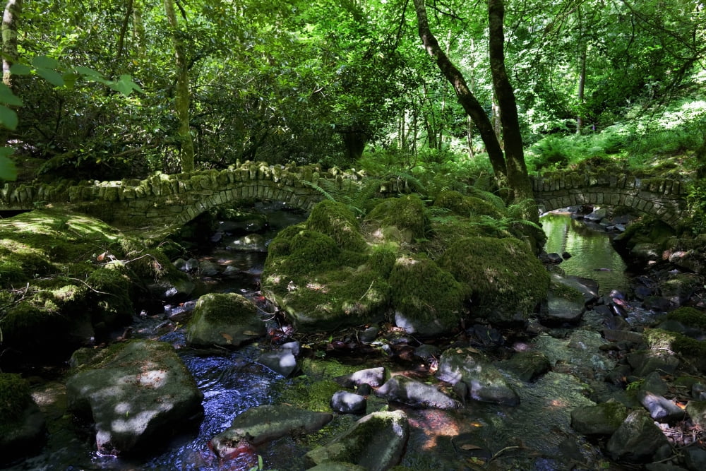 Old Stone Bridges over the stream Kilfane Glen and Garden County Kilkenny Ireland Canvas Art - George Munday Design Pics (38 x 24)