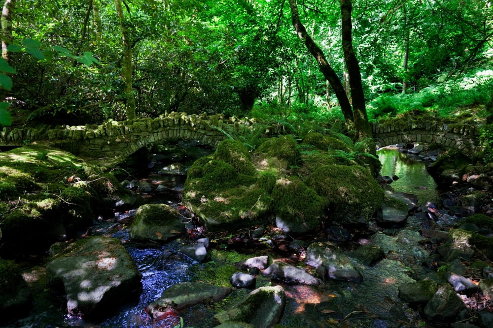 Old Stone Bridges over the stream Kilfane Glen and Garden County Kilkenny Ireland Canvas Art - Panoramic Images (27 x 9)