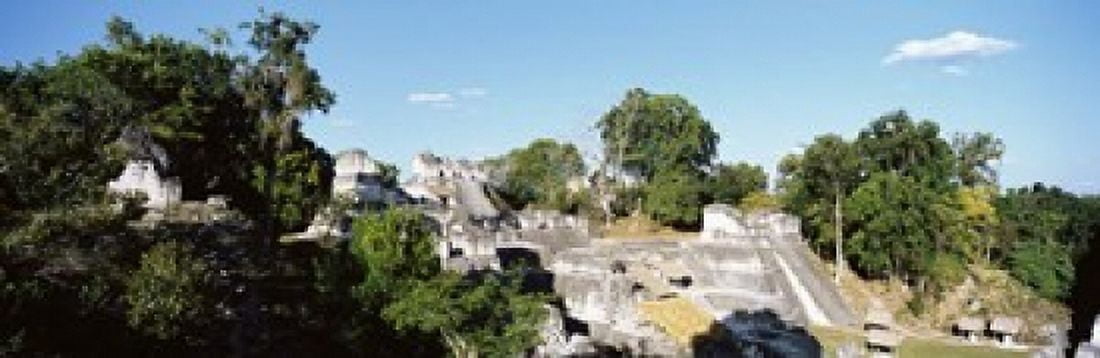 Old Temple In The Forest Tikal Guatemala Canvas Art - Panoramic Images (18 x 6)