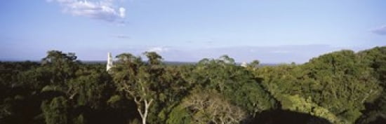 Old Temple In The Forest Tikal Guatemala Canvas Art - Panoramic Images (36 x 12)